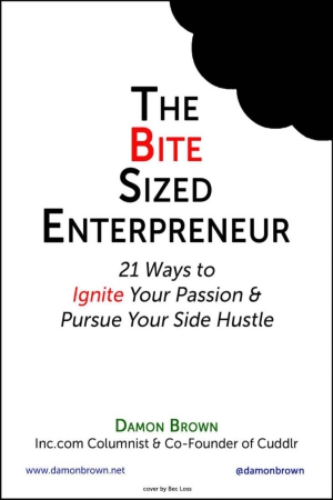 The Bite-Sized Entrepreneur