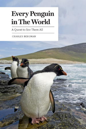 Every Penguin in the World